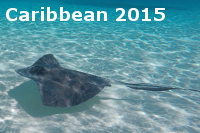 The Caribbean 2015